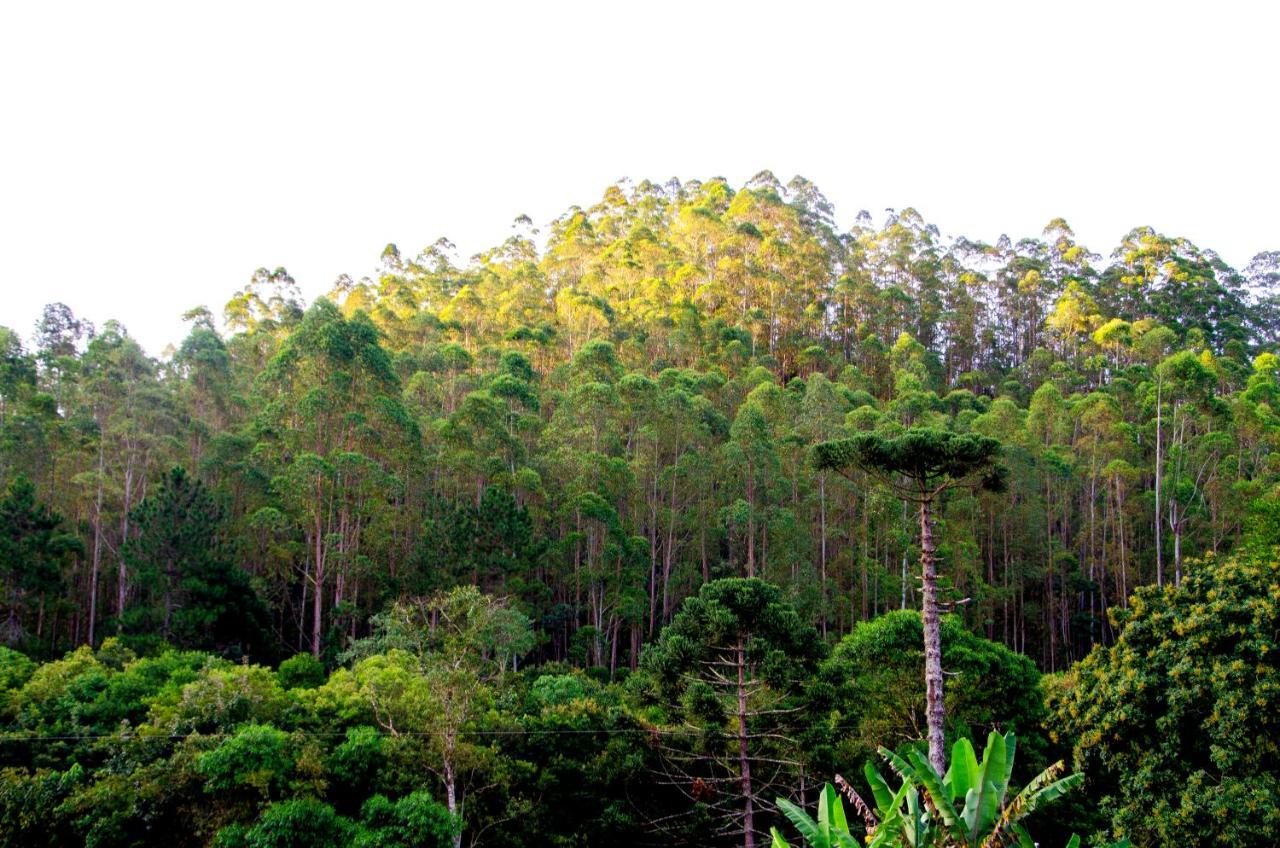Chale Vista Da Mata Villa Visconde De Mauá Buitenkant foto